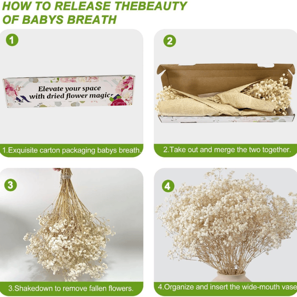 2000+ Ivory White Dried Baby’s Breath Flowers