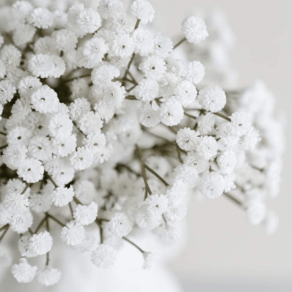 18 Pcs Artificial Baby’s Breath Flowers
