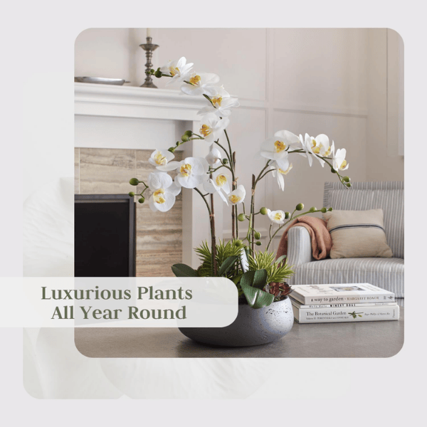 24" Faux Orchid Plant with Succulents in Grey Planter