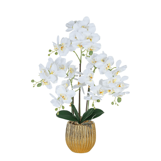 White Artificial Orchid Flowers in Gold Ceramic Pot