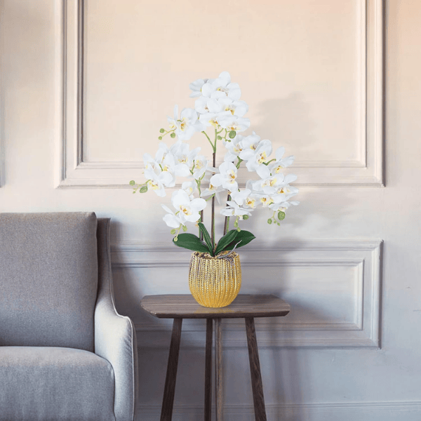White Artificial Orchid Flowers in Gold Ceramic Pot
