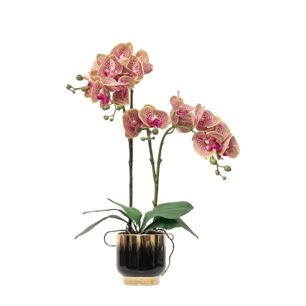 Orchids Artificial Flowers Real Touch Fake Flowers