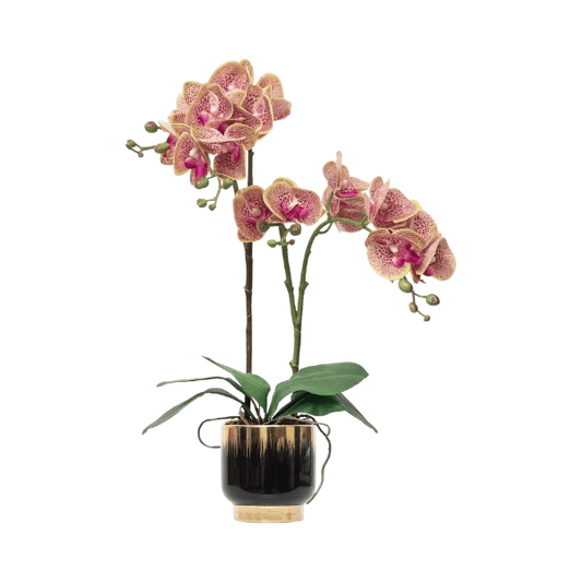 Orchids Artificial Flowers Real Touch Fake Flowers