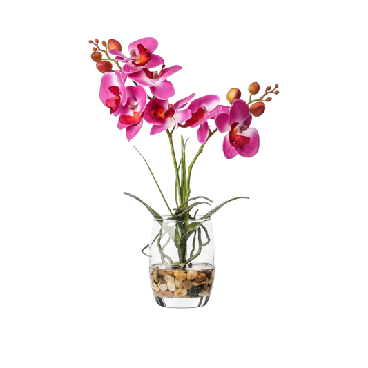 Purple Artificial Orchid in Glass Vase for Home Decor