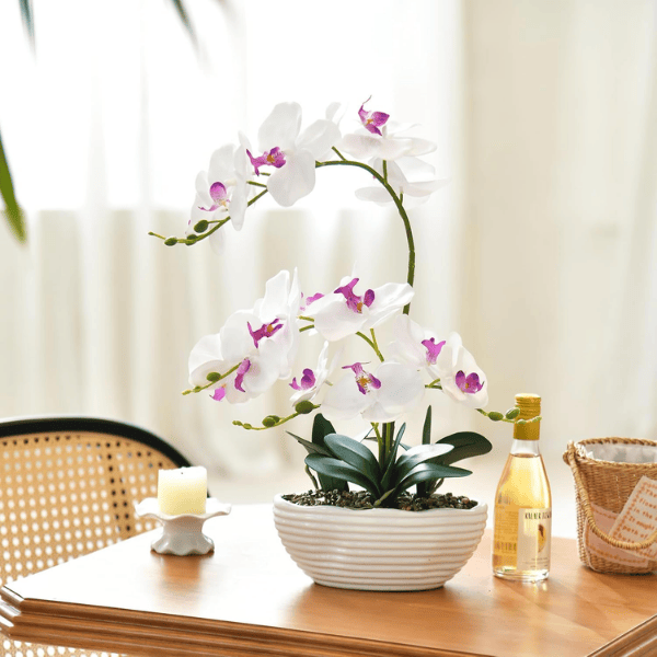 White Phalaenopsis Faux Orchid in Ceramic Pot