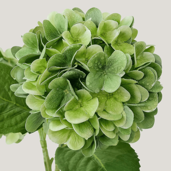 4Pcs Green Artificial Hydrangea Flowers