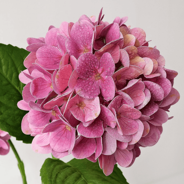 4Pcs Magenta Artificial Hydrangea Flowers