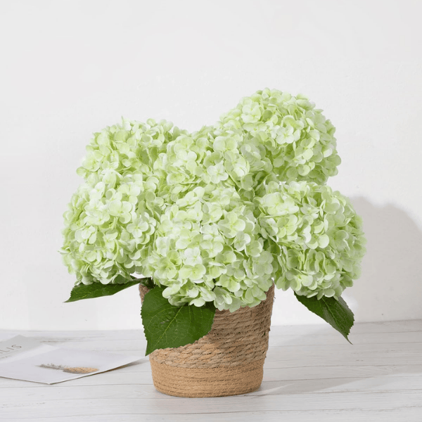 3Pcs Large Light Green Artificial Hydrangea Flowers