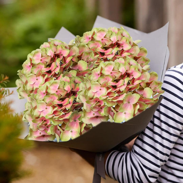 3Pcs Green Pink Artificial Hydrangea Flowers